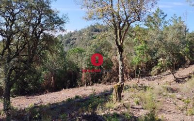 Monte de 0.00m² en Riudarenes, Riudarenes
